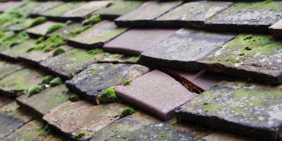 Stratton Audley roof repair costs